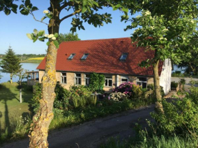 Bøgebjerggård Bed & Breakfast